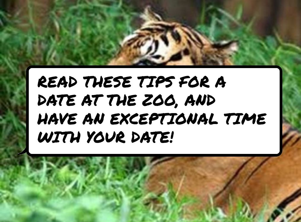 7 Tips to Have a Fun Date at the Zoo ...