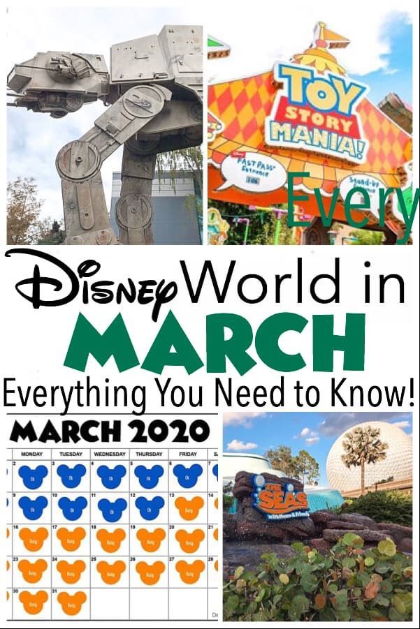 Walt Disney World