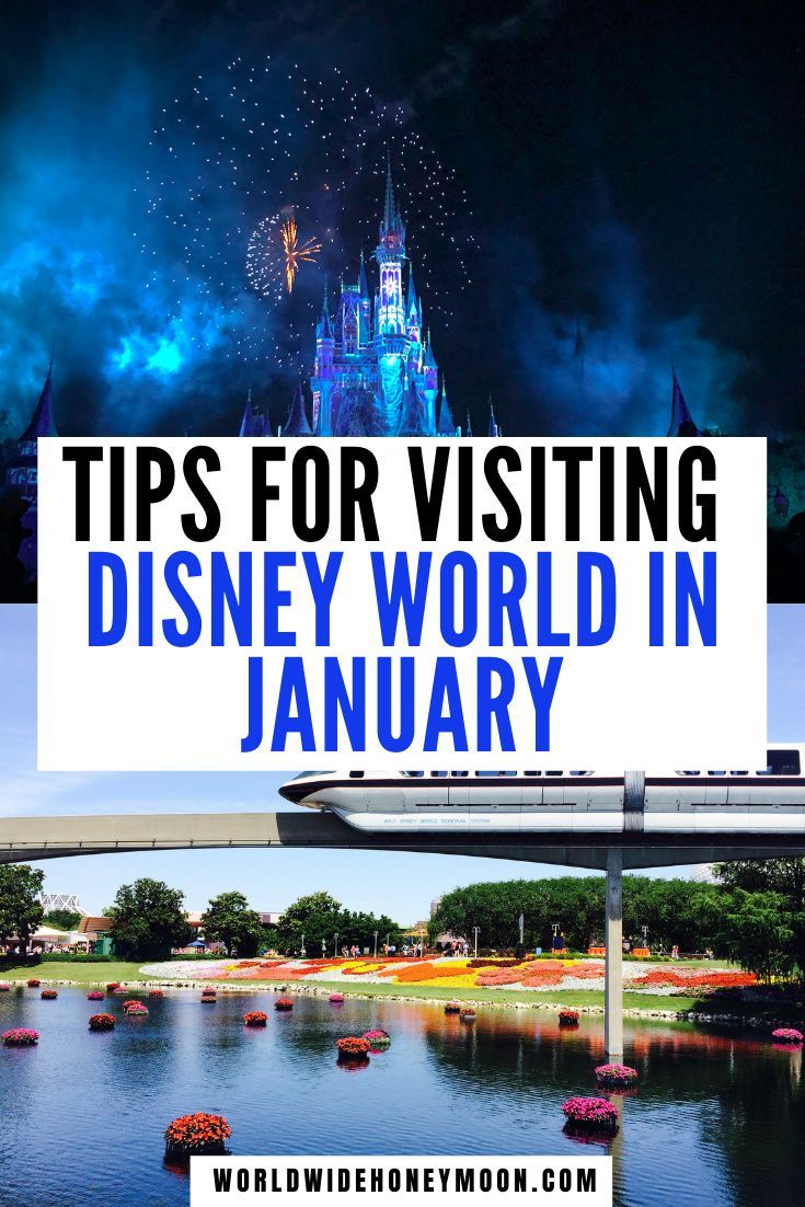 10 Tips For Visiting Disney World in January