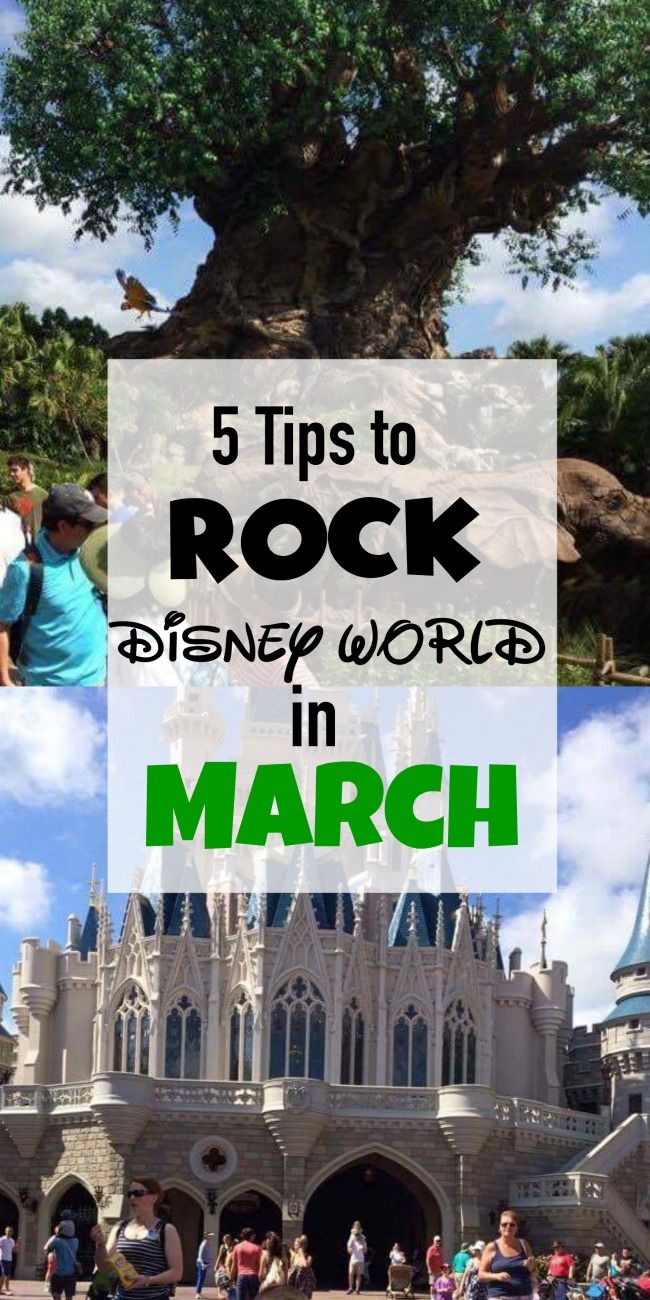 Your Guide to Disney World in March